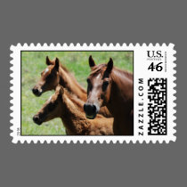 Chestnut Mare & Foals Postage postage by smilodonart Chestnut Mare & Foals Postage postage