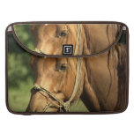 Chestnut Pony 15" MacBook Sleeve Sleeves For MacBooks