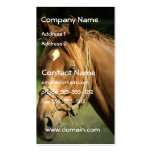Chestnut Pony Business Card