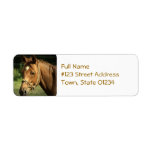 Chestnut Pony Mailing Label