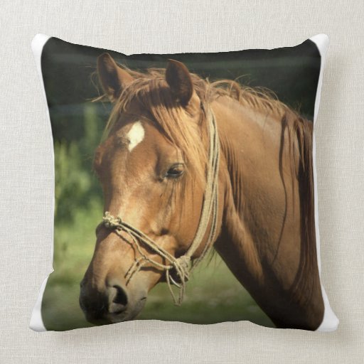Chestnut Pony Pillow