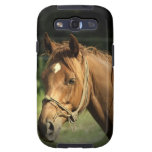 Chestnut Pony Samsung Galaxy Case