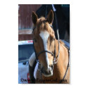Chestnut Poster posters
