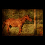 Chestnut posters