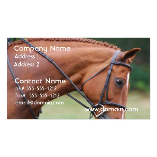 Chestnut Show Horse Business Cards (front side)