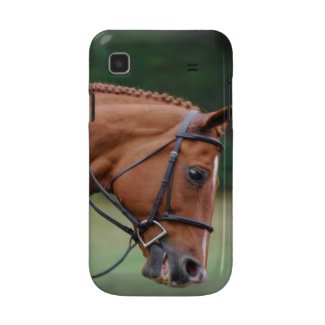 Chestnut Show Horse Samsung Galaxy Case casematecase
