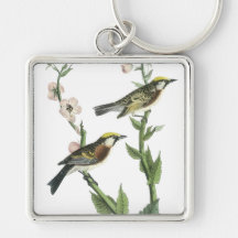 Chestnut-sided Warbler, John Audubon Keychain