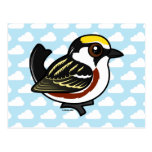 Chestnut-sided Warbler Post Cards