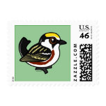 Chestnut-sided Warbler Stamp