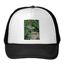 Chestnut-sided Warblers on nest Mesh Hat