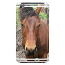 Chestnut Thoroughbred Horse iTouch Case iPod Touch Cover
