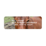 Chestnut Thoroughbred Horse Mailing Label
