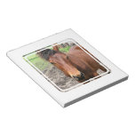 Chestnut Thoroughbred Horse Notepad