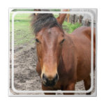 Chestnut Thoroughbred Horse Tile