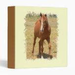 Chestnut Yearling Horse Binder