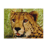 chetface, cool cheetah mommy! post cards