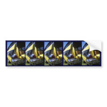 Chevrolet 1950s scrapbooking stickers bumper stickers