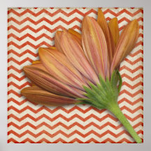 Chevron Daisy Stripe Botanical Print