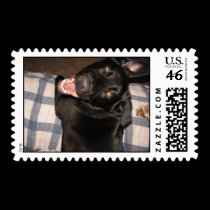 Chevy stamps stamps