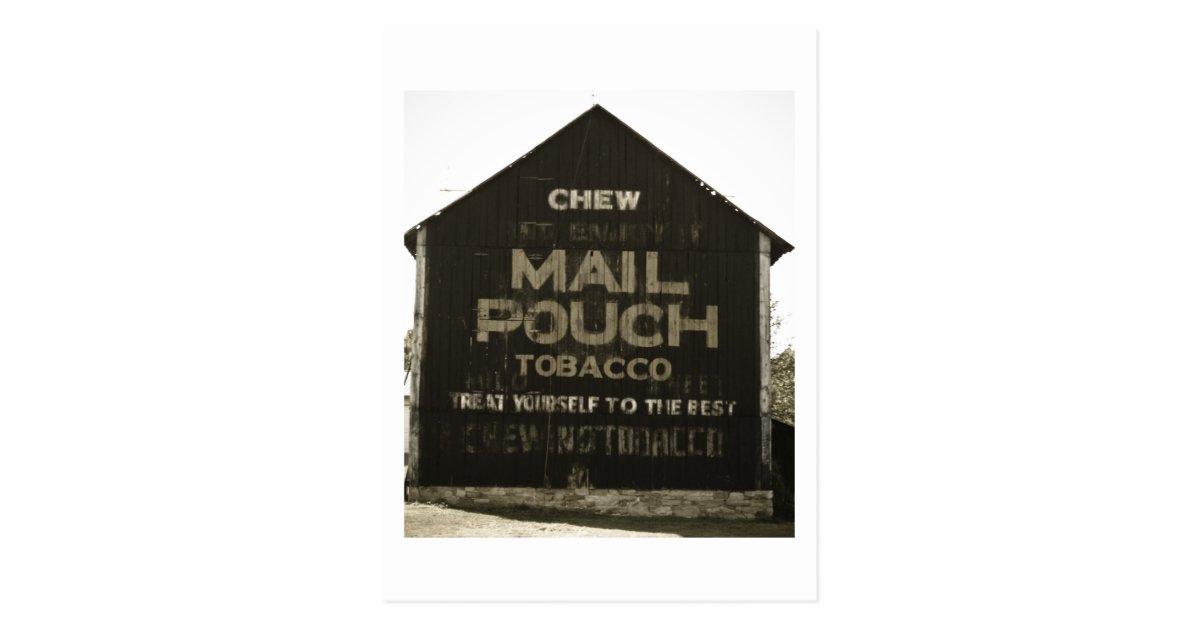 Chew Mail Pouch Tobacco Antique Photo Finish Postcard Zazzle