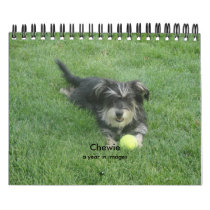 Chewie: A Year in Images Calendars