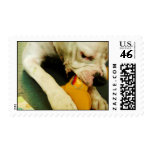 Chewin' Stamp