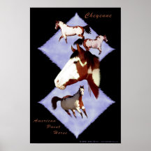 Cheyenne, American Paint Horse Poster