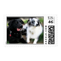 Cheyenne and Lily postage