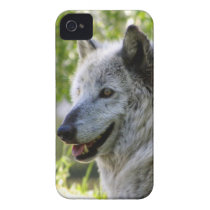 "Cheyenne" iPhone Case casemate cases