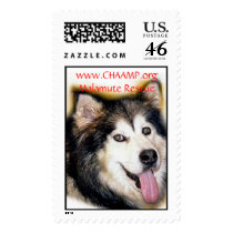 cheyenne, www.CHAAMP.org Stamps