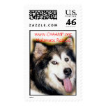 cheyenne, www.CHAAMP.org postage
