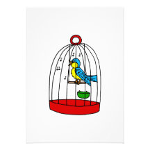 Chez Canary Personalized Announcements