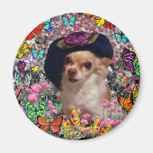 Chi Chi in Butterflies - Chihuahua Refrigerator Magnet