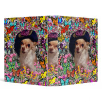 Chi Chi in Butterflies  - Chihuahua Puppy in Hat 3 Ring Binder