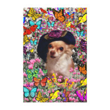 Chi Chi in Butterflies  - Chihuahua Puppy in Hat Canvas Prints