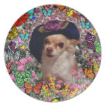 Chi Chi in Butterflies  - Chihuahua Puppy in Hat Dinner Plate