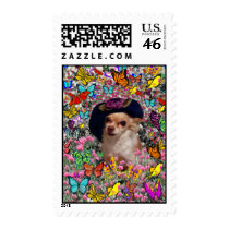 Chi Chi in Butterflies  - Chihuahua Puppy in Hat Postage Stamp