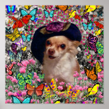 Chi Chi in Butterflies  - Chihuahua Puppy in Hat Poster