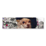 Chi Chi in Flowers  - Chihuahua Puppy in Cute Hat Bumper Sticker