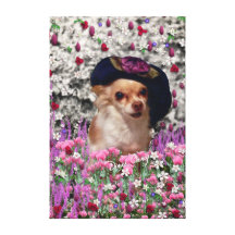 Chi Chi in Flowers  - Chihuahua Puppy in Cute Hat Gallery Wrap Canvas