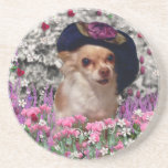 Chi Chi in Flowers  - Chihuahua Puppy in Cute Hat Coaster