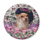 Chi Chi in Flowers  - Chihuahua Puppy in Cute Hat Magnets
