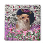 Chi Chi in Flowers  - Chihuahua Puppy in Cute Hat Magnets