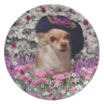 Chi Chi in Flowers  - Chihuahua Puppy in Cute Hat Dinner Plates