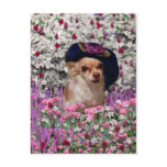 Chi Chi in Flowers  - Chihuahua Puppy in Cute Hat Post Card