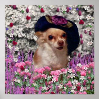 Chi Chi in Flowers - Chihuahua Puppy in Cute Hat print