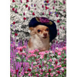 Chi Chi in Flowers  - Chihuahua Puppy in Cute Hat T Shirts