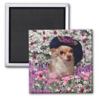 Chi Chi in Flowers Magnet - Chihuahua magnet