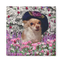Chi Chi in Flowers Magnet - Chihuahua