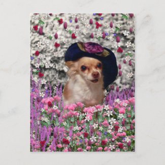 Chi Chi in Flowers Postcard - Chihuahua postcard